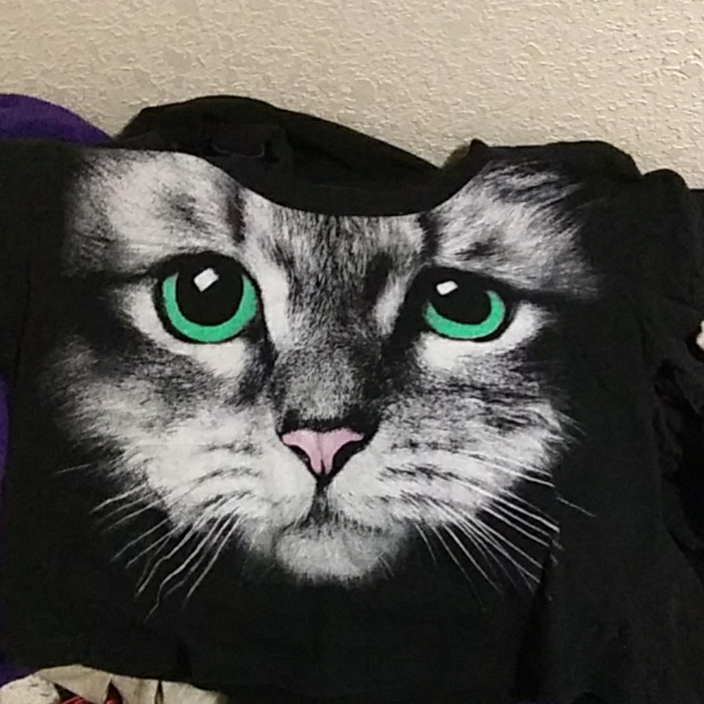 Kitty crop top